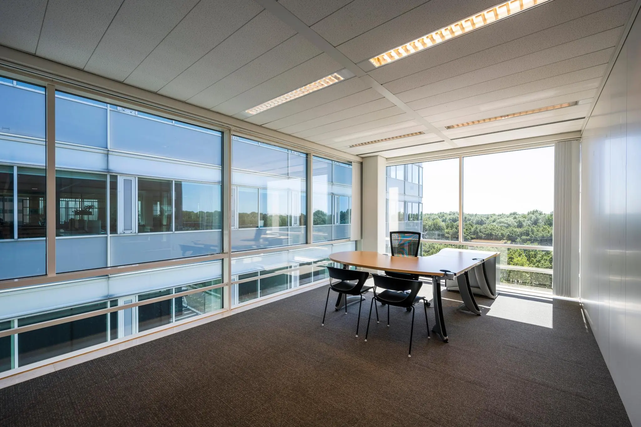 Modern en licht kantoor met vergadertafel en uitzicht op groen, gelegen aan de Thomas R. Malthusstraat.